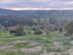 AYZABP477_11745_V0_1803.jpg