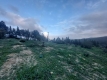 AYZABP477_11746_V0_C1B0.jpg
