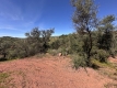AWVADP937_35427_V0_3AE0.jpg