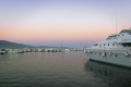 AVXADP2198_103365_V0_E63D.jpg