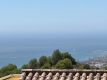 ABOAFP37_920_V0_46E7.jpg