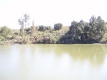 6-241328e1bcc9c0d8ce1222beb6c967a8.jpg