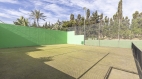 24-613bbc26f32d7013d348ef202dd30a43.jpg