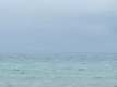 21-2c707e7c511429b4f8ec4ee5f221ddb6.jpg