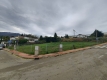 20-d1f7658cbe4ba6cd8666fec30fba80ad.jpg
