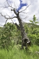 20-d1f7658cbe4ba6cd8666fec30fba80ad.jpg