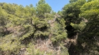 8-e64a9055bba3e77ac8aca3b893cdf826.jpg