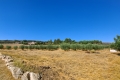 37-1d70d218e897435ff17cdff8e99bb5bf.jpg